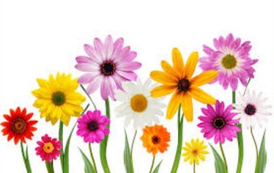 Free clipart april flowers cl