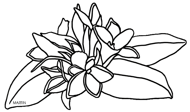 Mayflower Flower Clipart