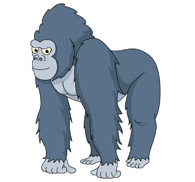 mean looking gorilla. Size: 47 Kb