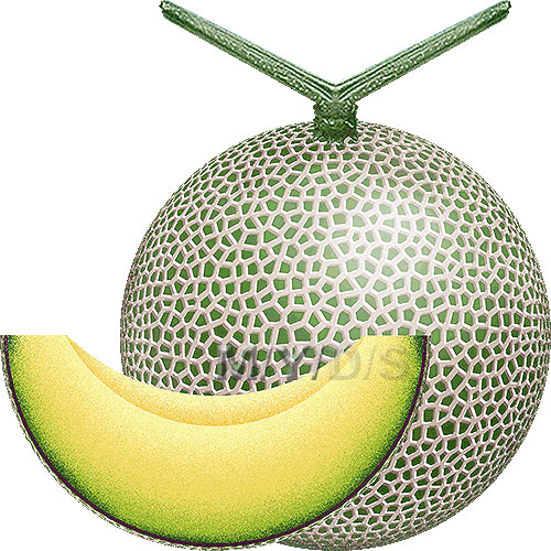 Melon clipart / Free clip art