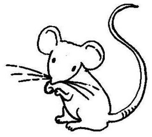 Mice Clipart