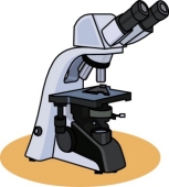 Microscope Clipart Size: 42 K - Microscope Clip Art