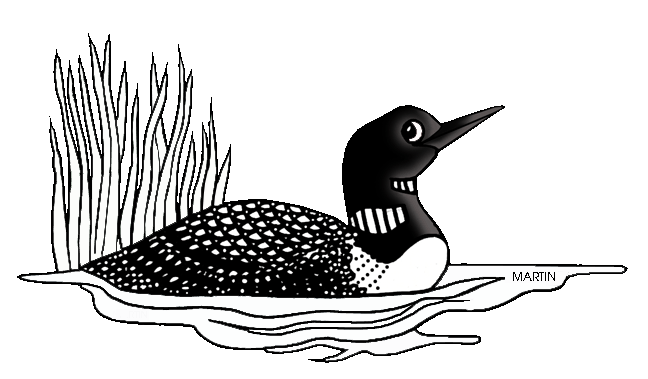 Minnesota State Bird - Loon - Loon Clip Art