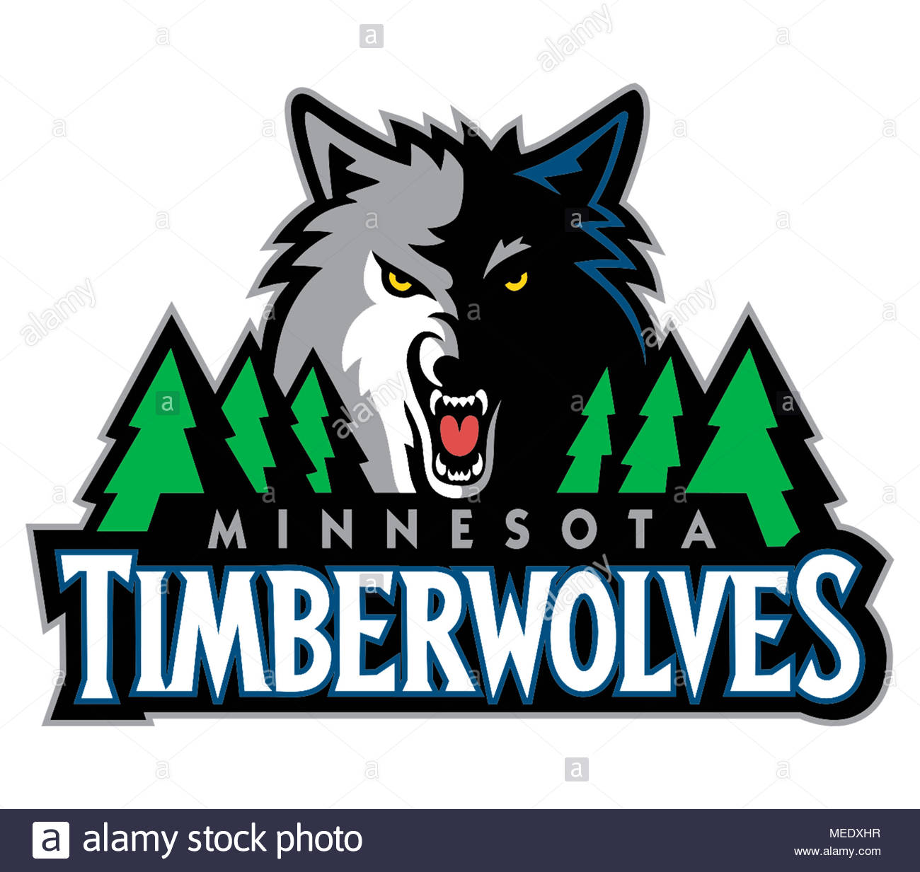 Minnesota Timberwolves icon logo