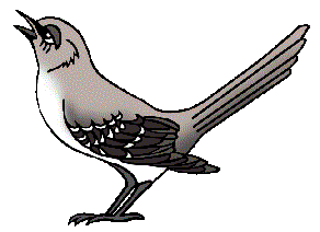 mockingbird clipart - Mockingbird Clipart