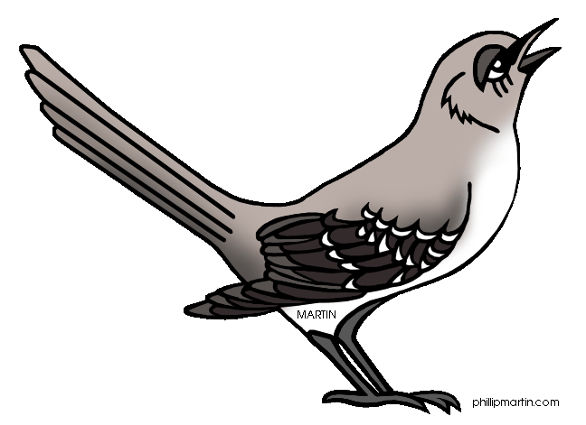 mockingbird clipart - Mockingbird Clipart