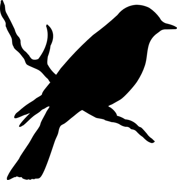 Mockingbird clipart clipart - Mockingbird Clipart