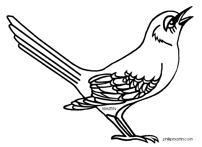 Mockingbird bird clip art at 