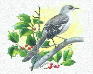 Mockingbird Clipart Etc