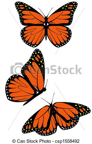 ... Monarch butterfly - A set of three monarch butterflies Monarch butterfly Clip Artby ...