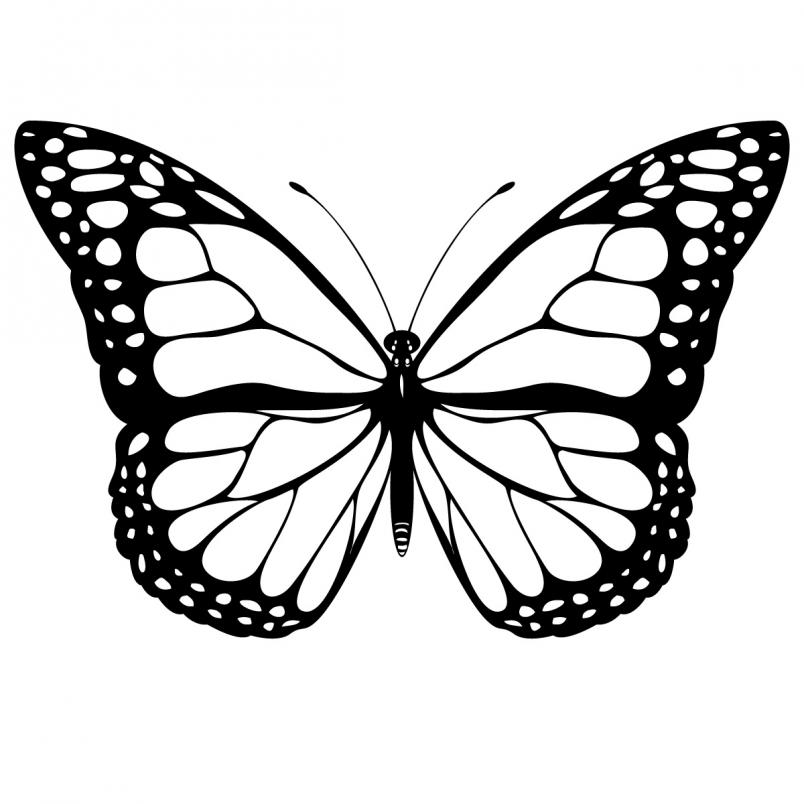 Monarch butterfly clipart black and white clipartall