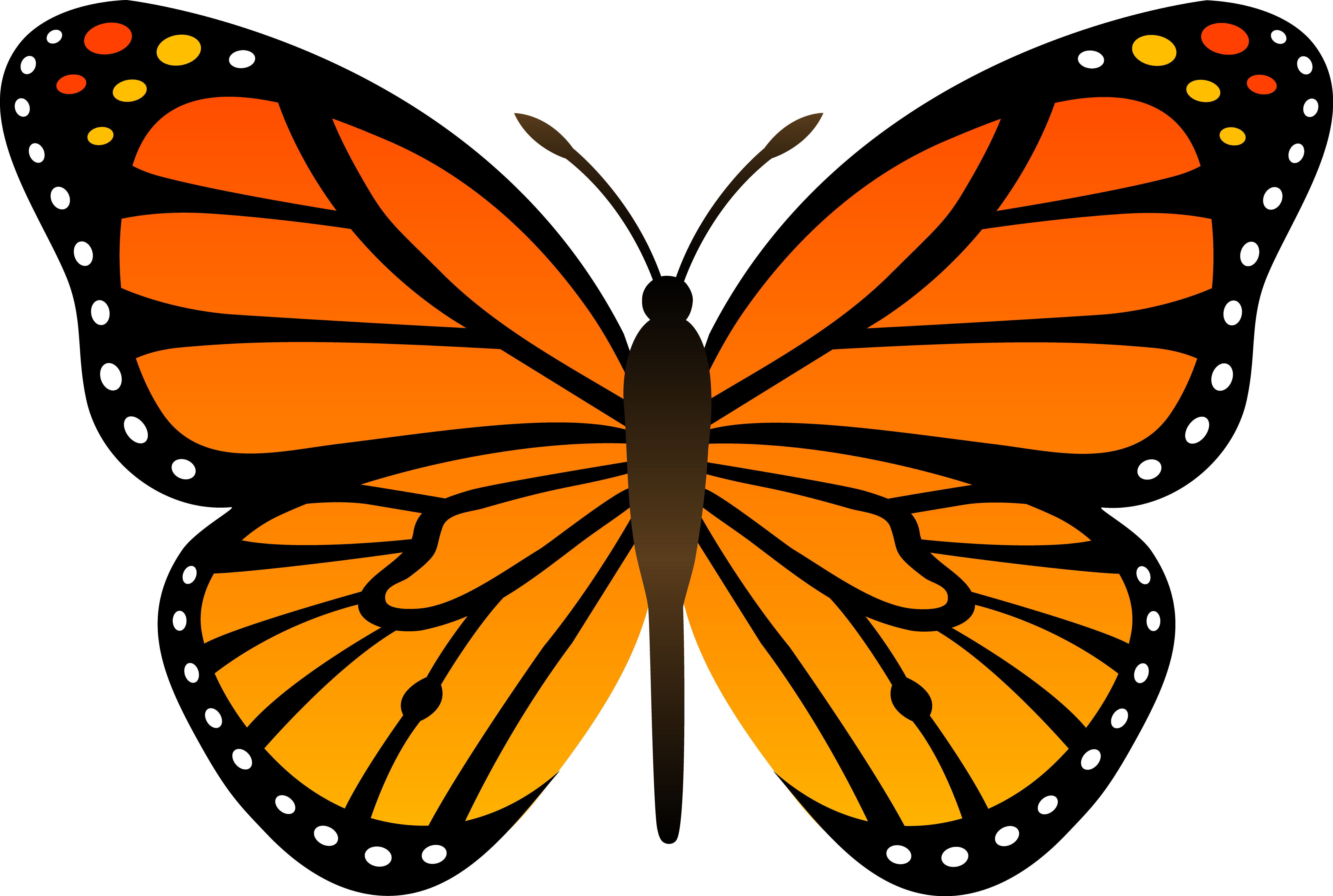 Monarch butterfly clipart bla