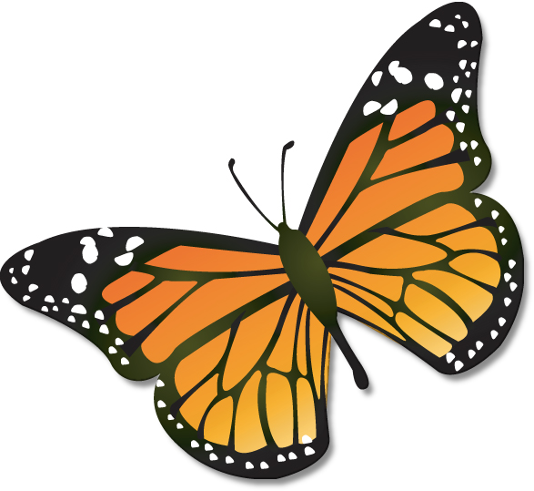 Monarch butterfly clipart images