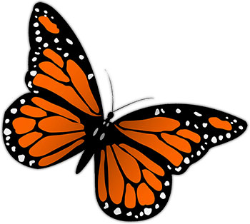 Monarch butterfly clipart mon