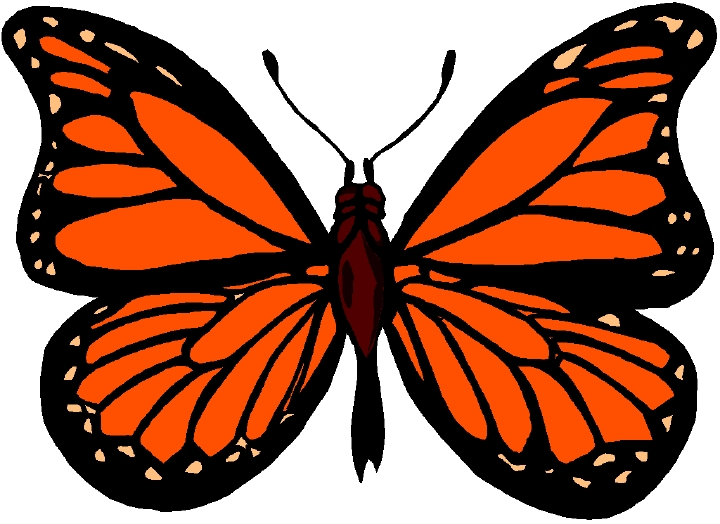 Monarch butterfly images . - Monarch Butterfly Clip Art