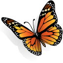 Monarch Butterfly - Monarch Butterfly Clip Art