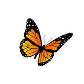 Monarch butterfly. Monarch bu - Monarch Butterfly Clip Art