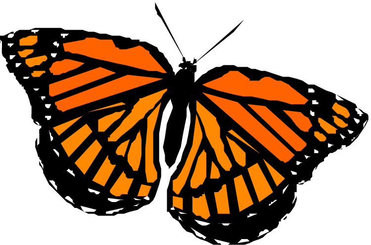 Monarch butterfly. Monarch bu