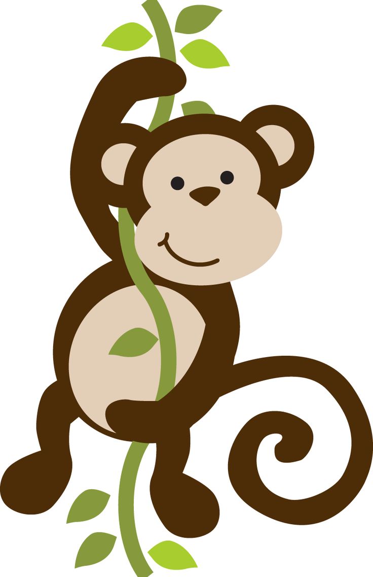 Monkeys primates on monkey clip art and jungles