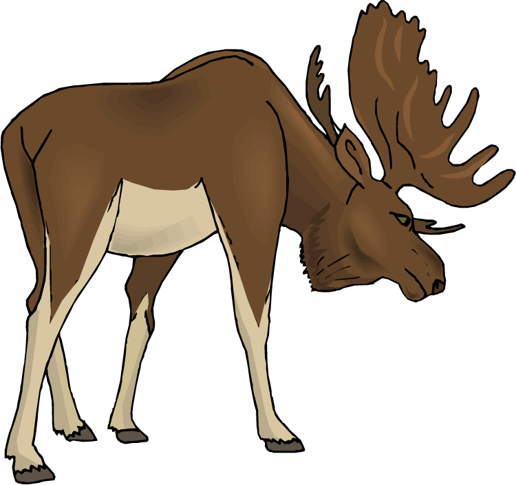 Moose Clip Art - Clipart Moose