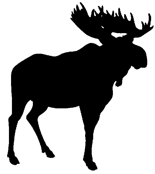 Cartoon moose clipart free cl
