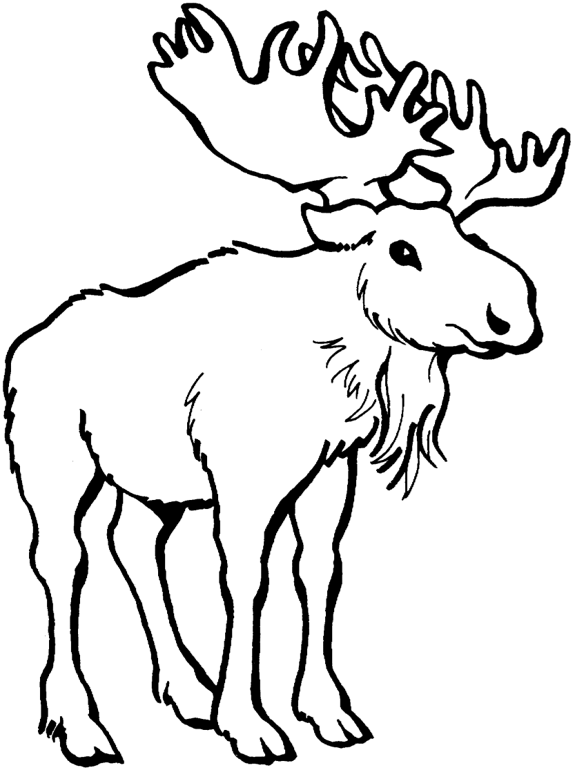 Moose With Antlers Free Clipa - Free Moose Clipart