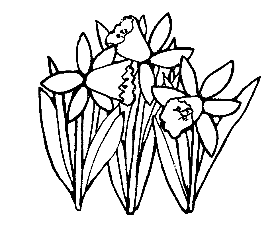 mormon clipart - Daffodil Clip Art