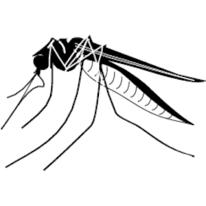 Mosquito Clipart Cliparts Of Mosquito Free Download Wmf Eps