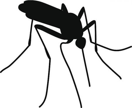 mosquito clipart - Mosquito Clipart