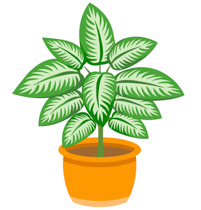 Grow Plant Clipart2 Size: 134