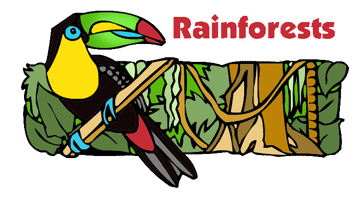 Mrdonn Org Rainforests Geography Lesson Plans Games Activities