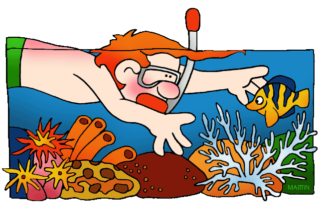 Coral Reef Clipart #15982
