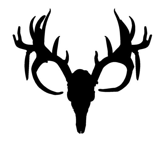 Mule Deer Antler Clipart