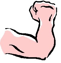 Muscle cliparts - Muscle Clipart