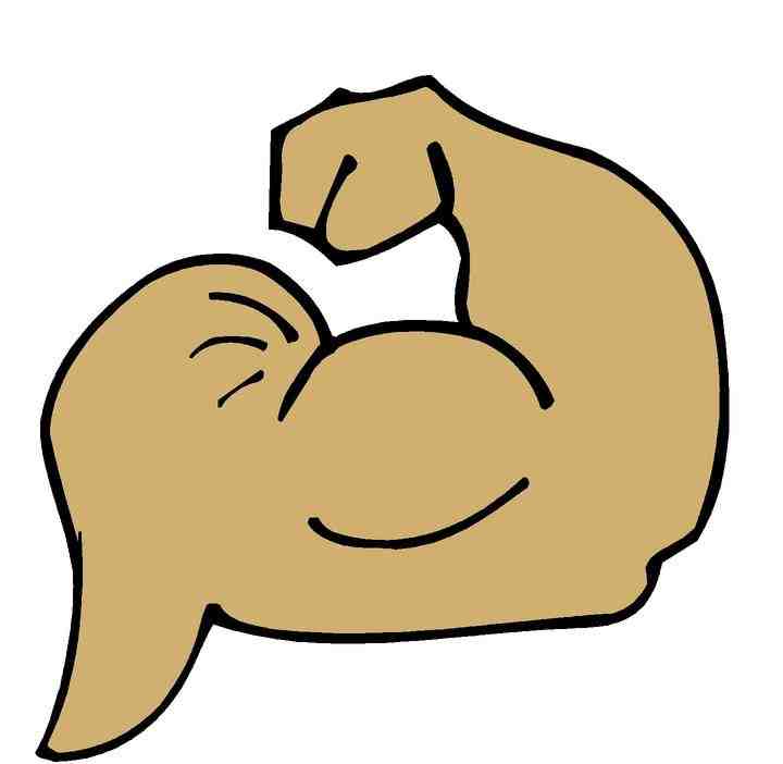 Arm muscle clipart