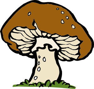mushroom clipart - Mushrooms Clipart