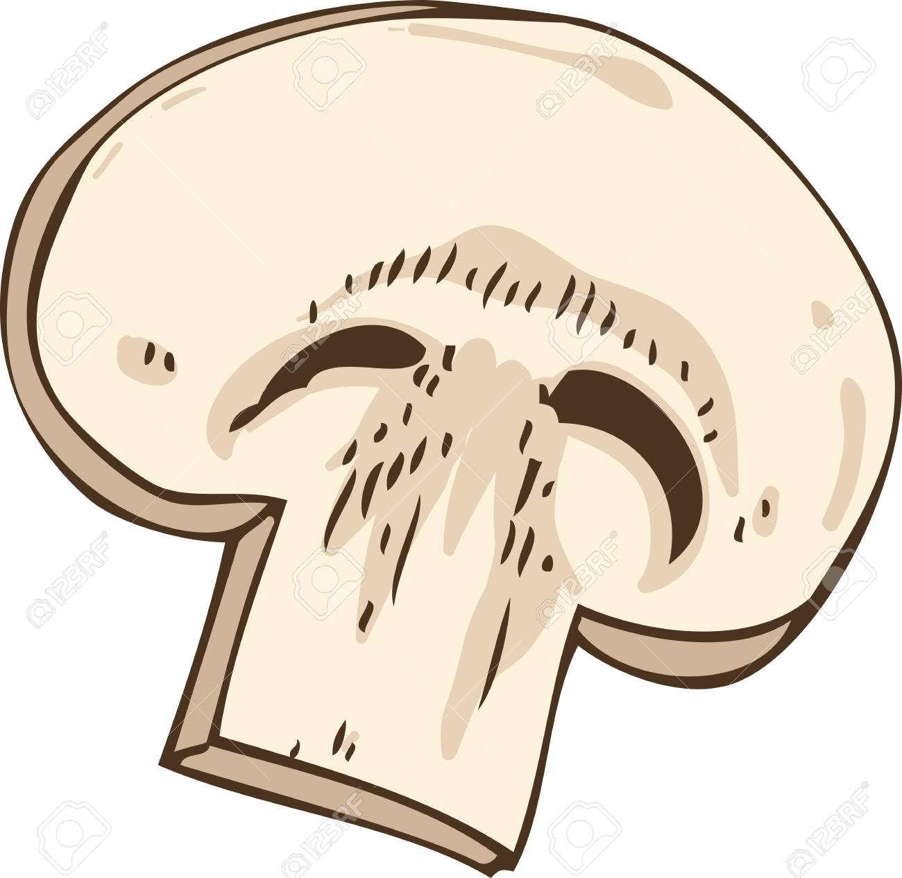 Mushroom Slice Illustration