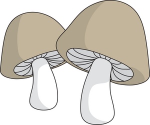 Mushrooms 2 Clip Art. This .