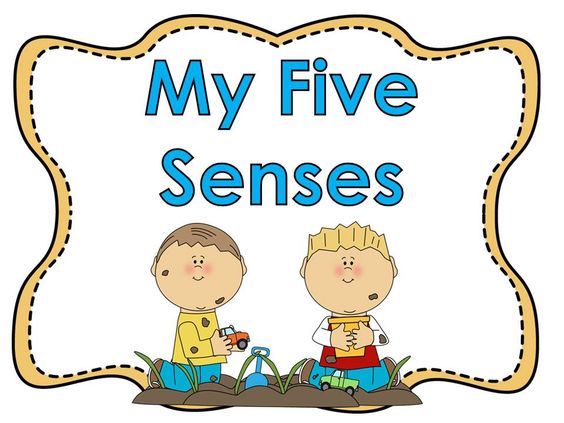 My five senses clipart - .