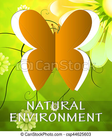 Natural Environment Butterfly Shows Nature 3d Illustration