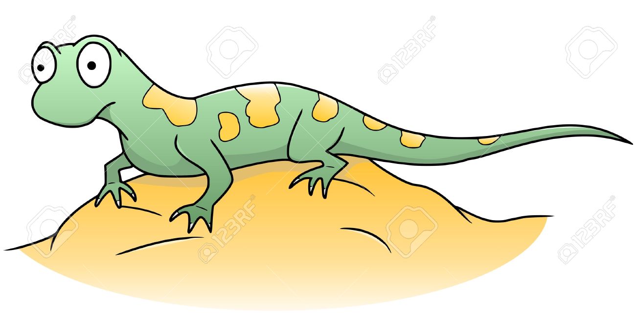 newt: lizard Illustration
