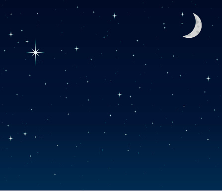 Night Sky background vector .