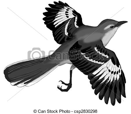 Mockingbird bird clip art at 