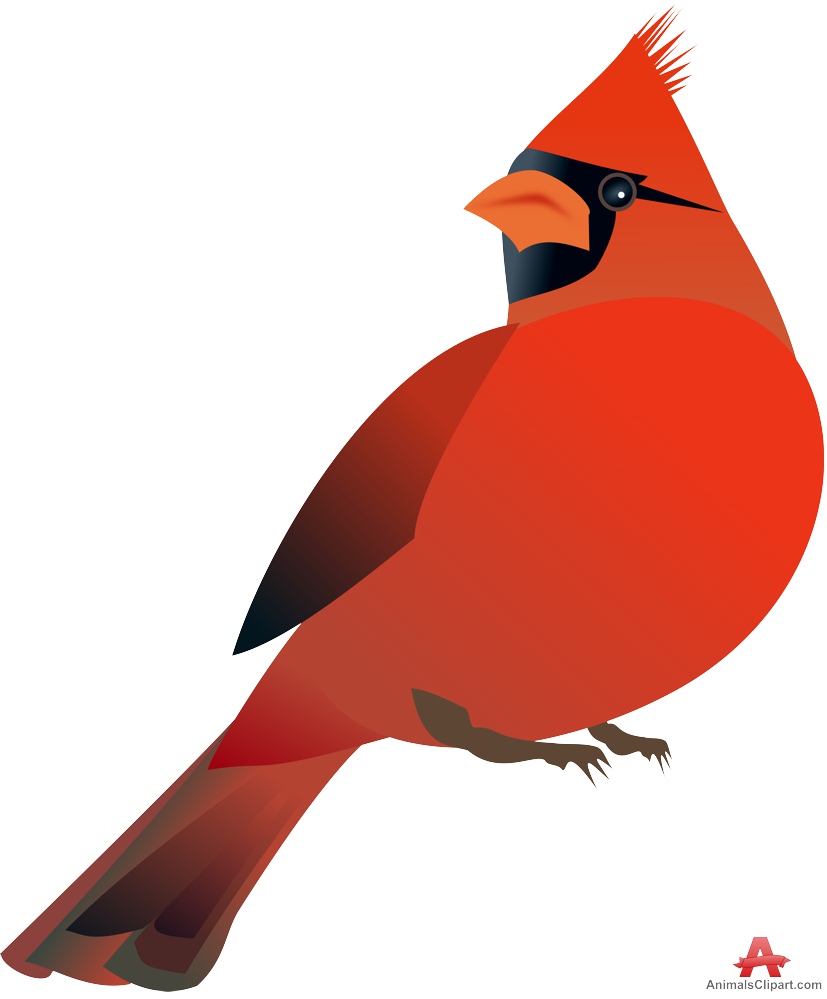 Red Bird clip art - vector cl