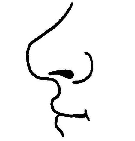 Nose clipart black and white 