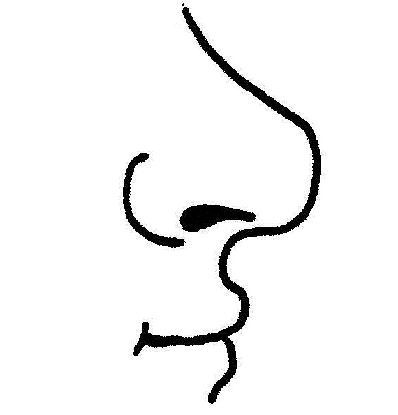 Nose Clip Art - Clip Art Nose