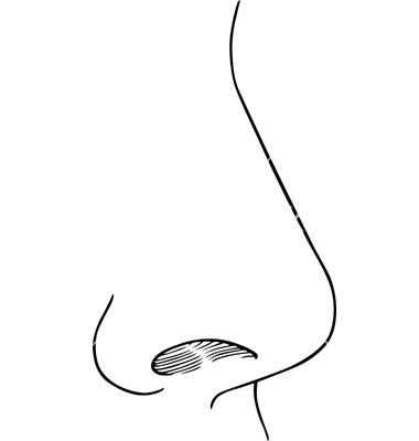 Nose clipart black and white 