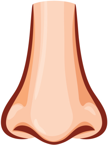 Nose clipart 8