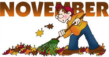 November man raking leaves