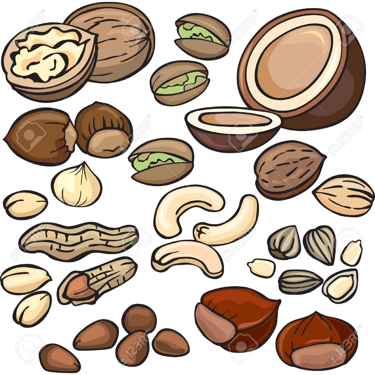 Nuts - ClipArt Images